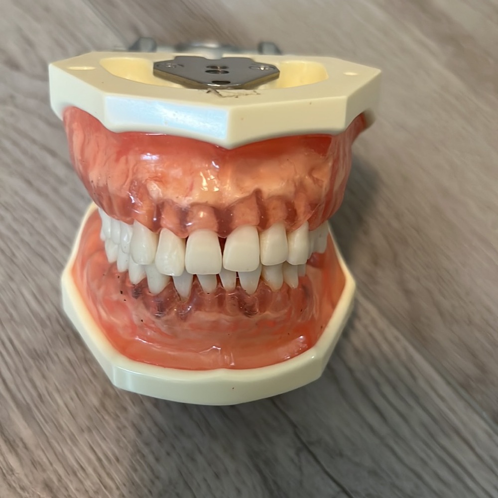 Dental model